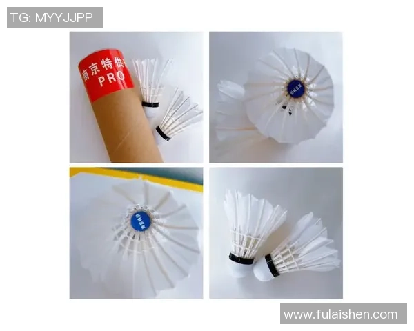 南京羽毛球队战术创新引领羽毛球新潮流排名跃升至新高峰