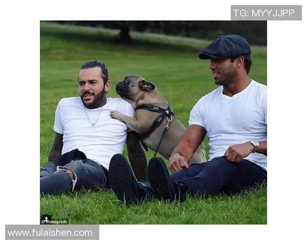 韩国狗狗足球明星排行榜揭晓谁是最受欢迎的四脚球员